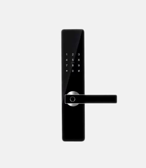 smart-locks-for-doors-TechSeera